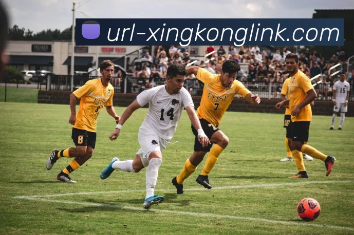 星空体育APP 高清赛事图